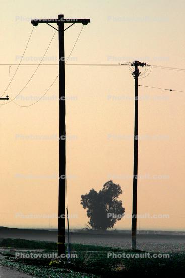 Transmission Lines and inbetween Tree