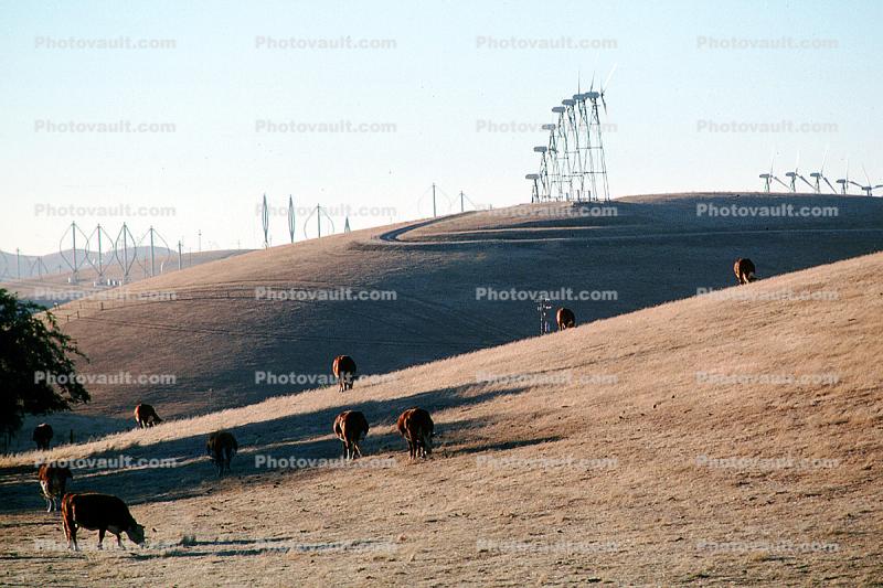 Hills, Wind farms, Altamont Pass