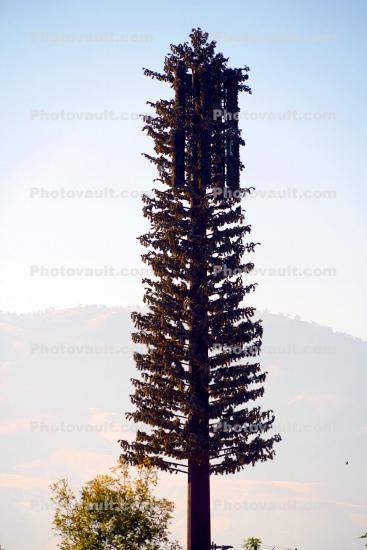 Cell Phone Tower, disguised as a Tree
