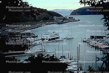 Tiburon Angel Island Ferry, Harbor, boats, waterfront