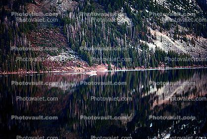 Lake, Forest, Reflection