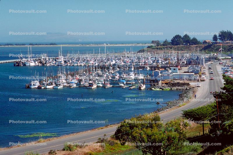 Spud Point, Marina, Docks, harbor, Bodega Bay
