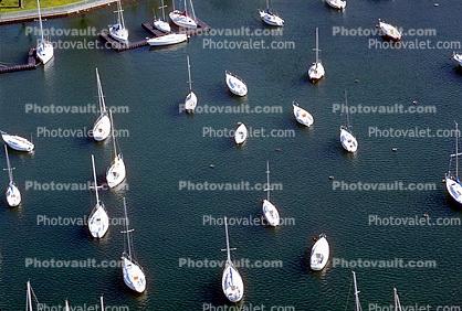 Marina, Harbor, Docks