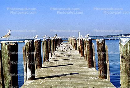 Pier, Docks, Seagulls, Long Beach Mississippi