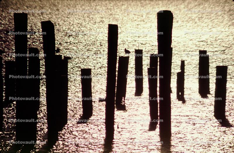 Pilings in the Sunset
