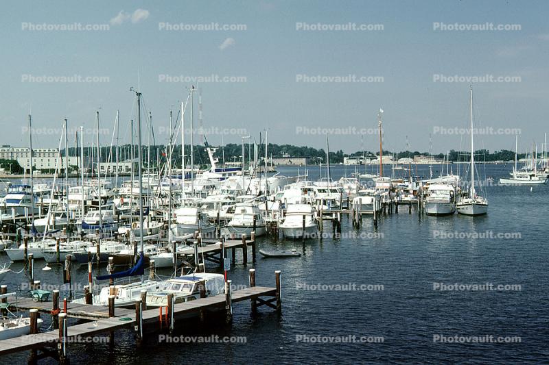 Crowded Docks, Yacht Basin Marina, Annapolis, Maryland