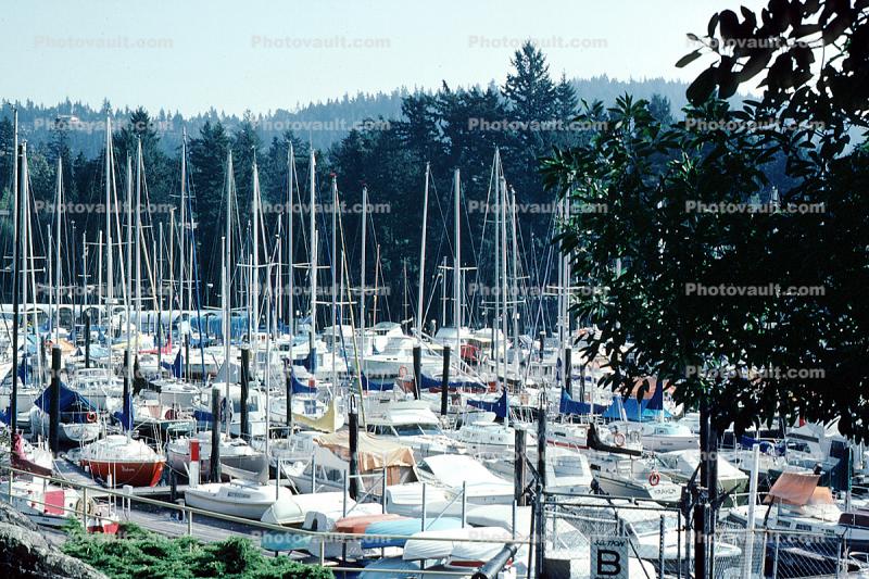 Crowded Docks, Marina, West Vancouver Yacht Club