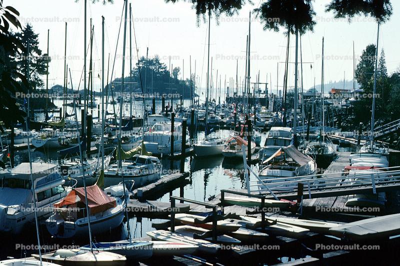 Crowded Docks, Marina, West Vancouver Yacht Club