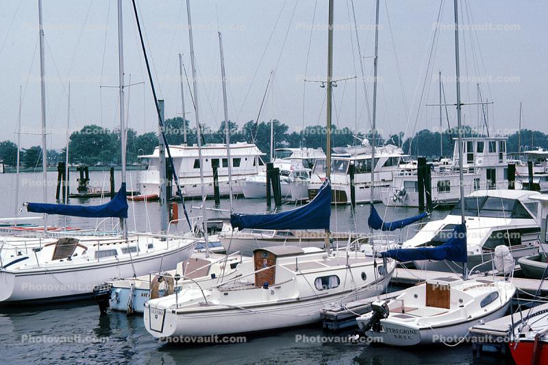 Gangplank Marina, Washington DC