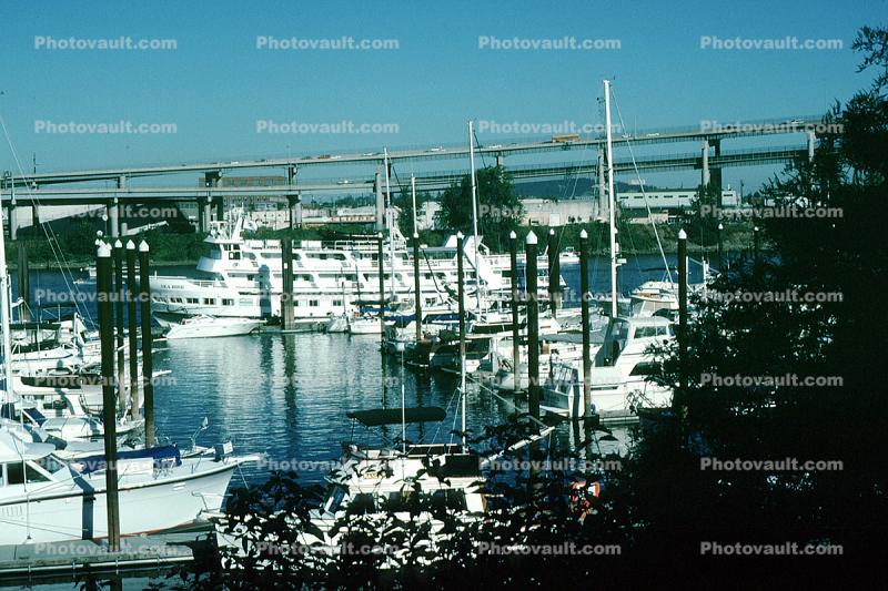 Harbor, Docks, River Place Marina, Portland, Oregon