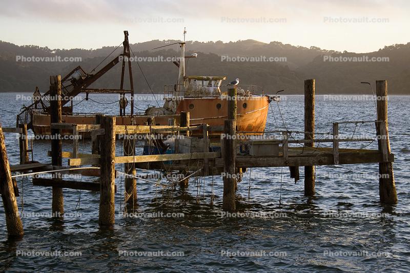 Docks, harbor, Fishing Boat, town of Marshall, Tomales Bay, Marin County