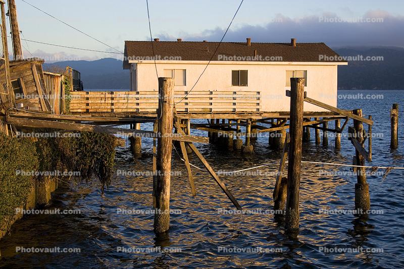 Dock, Building, town of Marshall, Tomales Bay, Marin County, Fishing Boat, Harbor