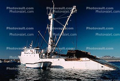 Tuna Fishing Boat