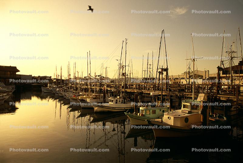Dock, Harbor