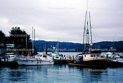 Boats, docks, harbor, Tomales Bay, Marin County
