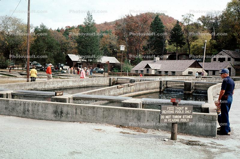 Roaring River Fish Hatchery, Rearing Pool, Trout Nursery, Eureka Springs