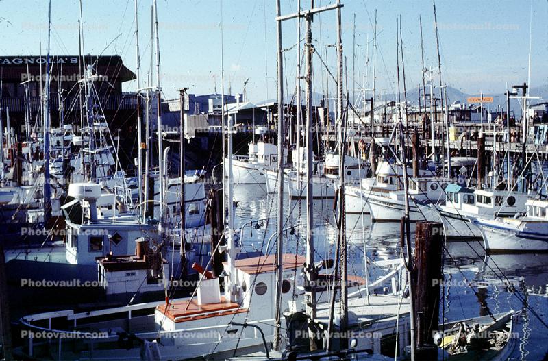 Fishing Fleet, Docks, Harbor, 1950s