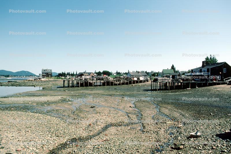 low tide, shoreline, shore, Bass Harbor, Maine, Harbor, Tidepools, salty tide pools