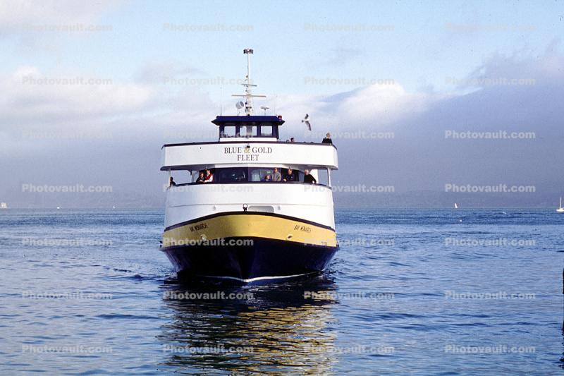 Angel Island Ferry, Tiburon, Blue and Gold Fleet, Ferry, Ferryboat, head-on