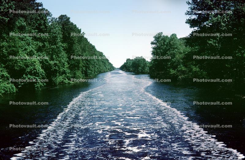 Dismal Swamp Canal, wetlands