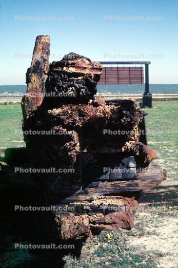 19th Century Shipwreck