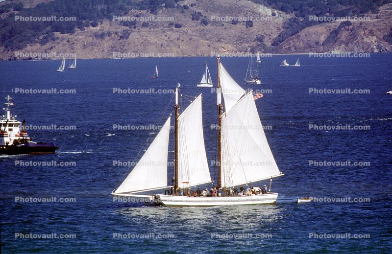 Alma, flat-bottomed scow schooner, San Francisco Maritime National Historical Park 