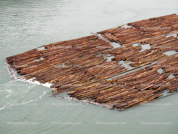 Floating Logs, Raft, Whidbey Island