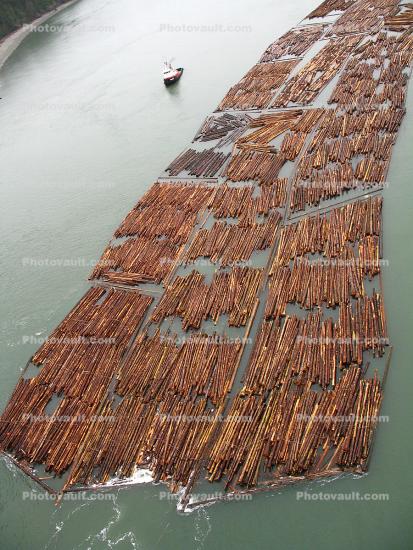 Floating Logs, Raft, Whidbey Island