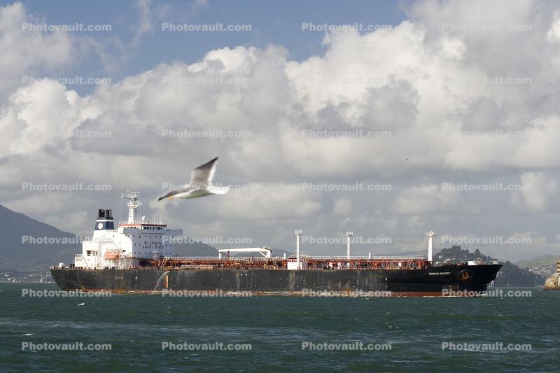 Seabulk Mariner, Oil Products Tanker, Bulk Carrier, Oil Tanker, IMO: 9131369