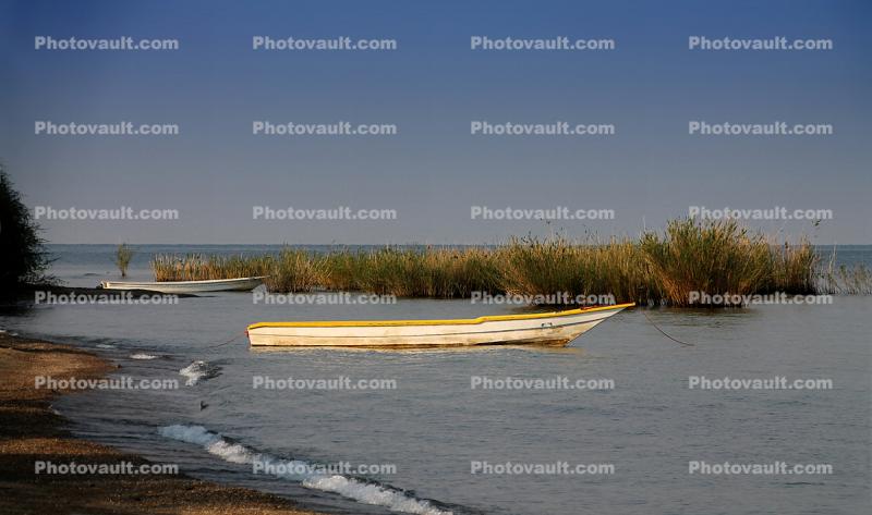 Lake Tanganyika, Tanzania, shore, shoreline, beach, water plants