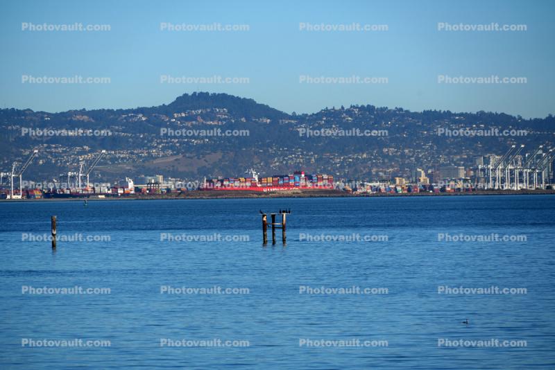 Port of Oakland, East Bay Hills