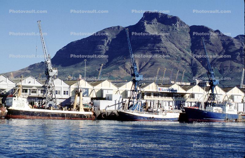 Harbor, Victorias Wharf, Cape town South Africa