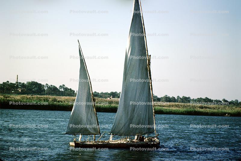 Dhow Sailing Ship, Lateen sails, vessel, Minya, Nile River