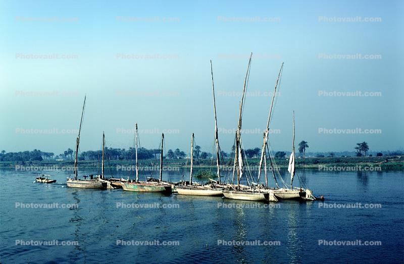 Dhow Sailing Ship, Minya, Nile River, vessel