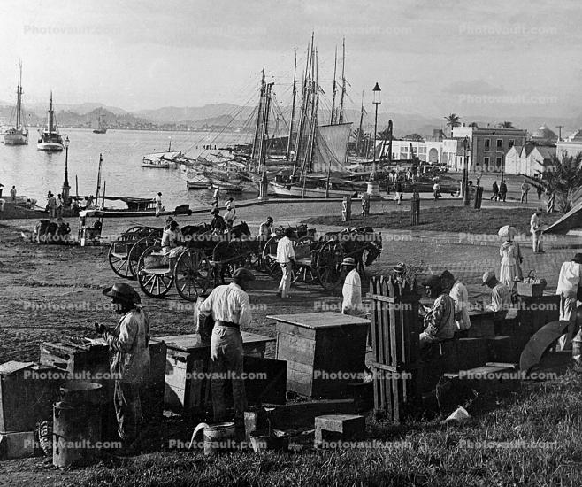 Freight, shore, docks, harbor, boxes, 1890's