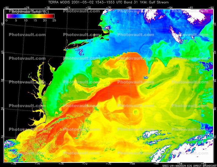Gulf Stream's Brightness Temperature