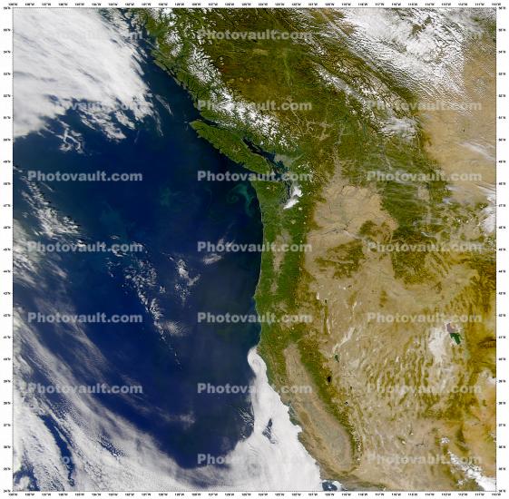 Phytoplankton off the Coast of Washington State, the great Northwest USA, California, Oregon, Washington, British Colombia, Pacific Ocean