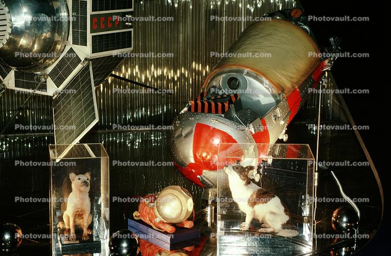 Laika, Memorial Museum of Cosmonautics, Moscow Space Museum, Russian spacecraft