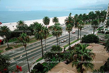 Ocean Blvd, Palm Trees, Beach, Pacific Palisades, Santa Monica Bay