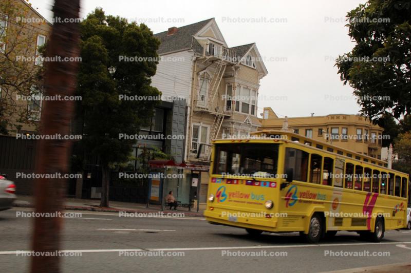 Yellow Bus, Sightseeing