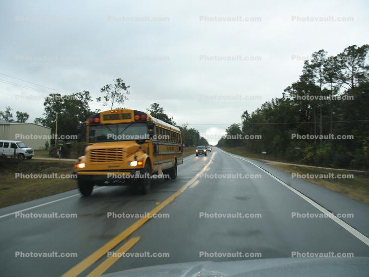 Highway-98, Road, St, Marks, Florida