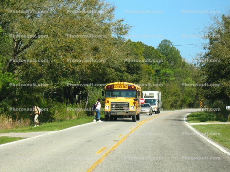 School Bus Stop, Road, south of Charleston, along Highway 21