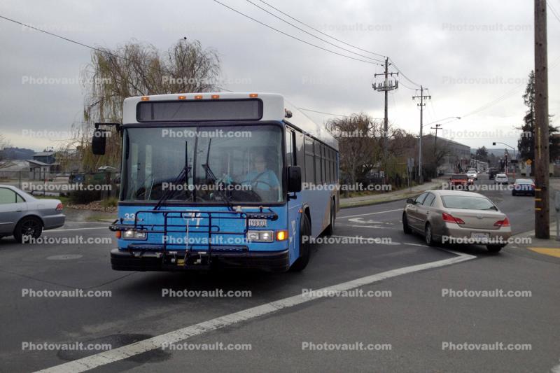 33, Petaluma Bus, Cars