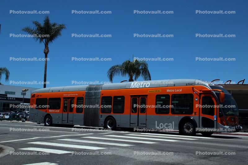 Metro Local Bus
