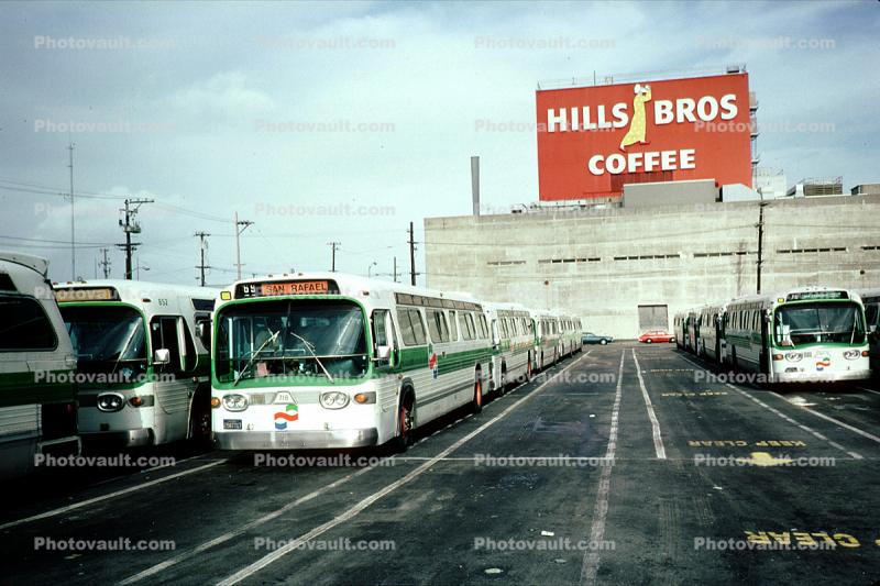 Hills Brothers Coffee, Golden Gate Transit