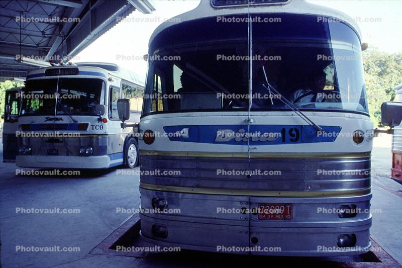 Dina, Cancun, Mexico, bus head-on
