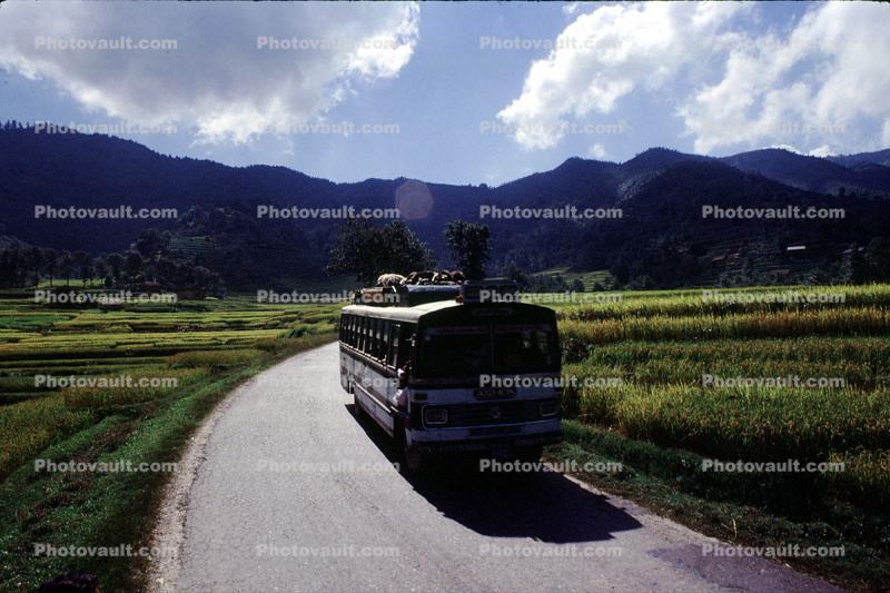 Rice Paddy, Araniko Highway
