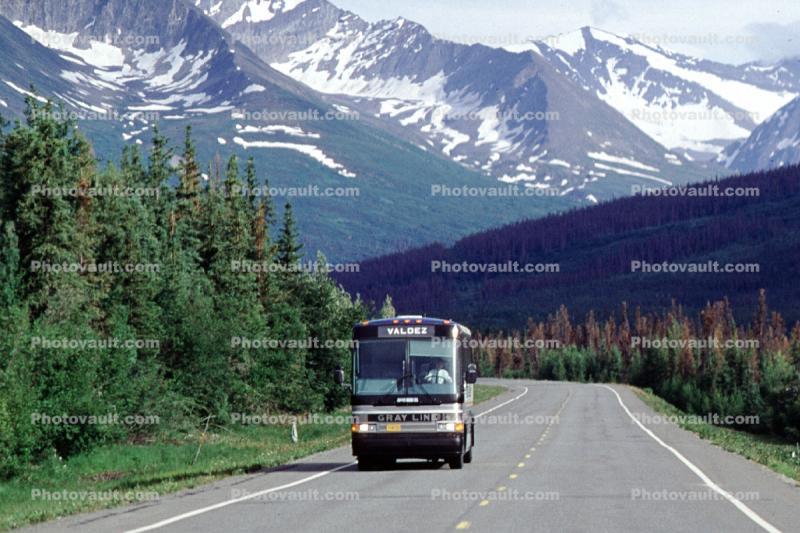 Gray Line to Valdez, Chugach Mountains, forest, highway-4