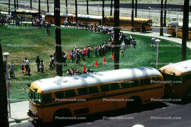 Students waiting in line, children, kids, palm trees, lawn, buses