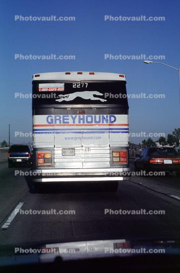 2217 Greyhound Lines